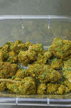 photo of cannabis flowers on glass container